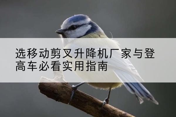 信宜电动升降机厂家-选移动剪叉升降机厂家与登高车必看实用指南