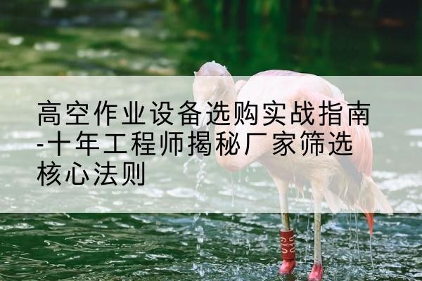 信宜剪叉式升降机厂家-高空作业设备选购实战指南-十年工程师揭秘厂家筛选核心法则