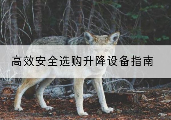 信宜升降货梯厂家推荐-*安全选购升降设备指南