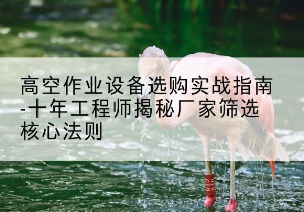 信宜剪叉式升降机厂家-高空作业设备选购实战指南-十年工程师揭秘厂家筛选核心法则